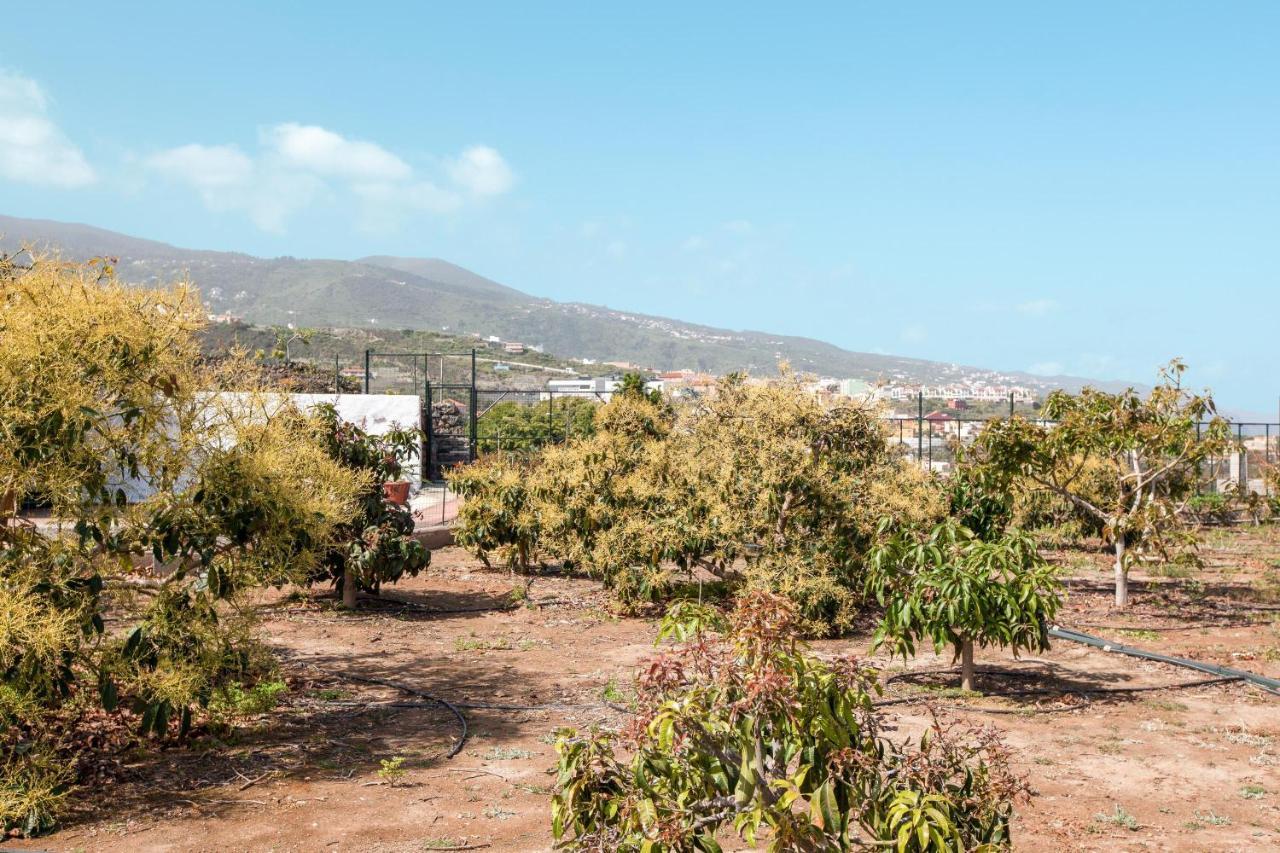 Casa Quemahierro 2 Villa Icod De Los Vinos Eksteriør bilde